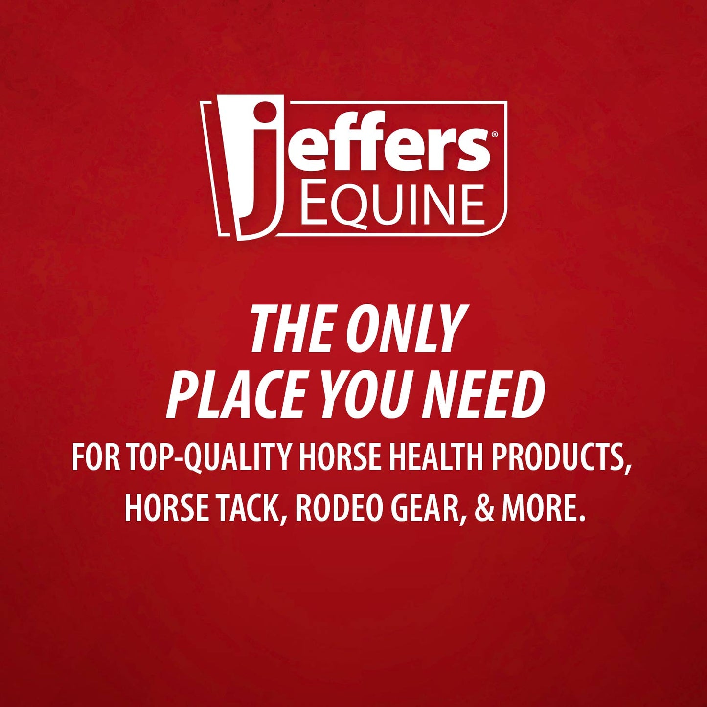 Jeffers Expression No-Turn Bell Boots for Horses, Pair, Nylon