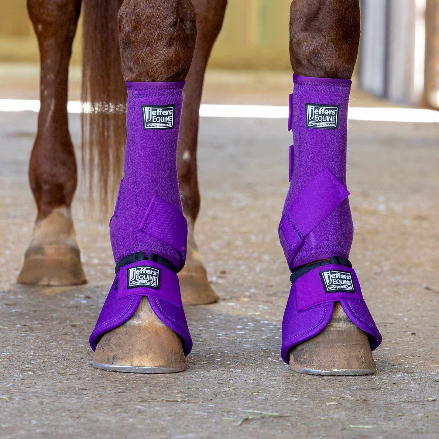 Jeffers Protective Horse Boots, Solid Colors, 2-Pack