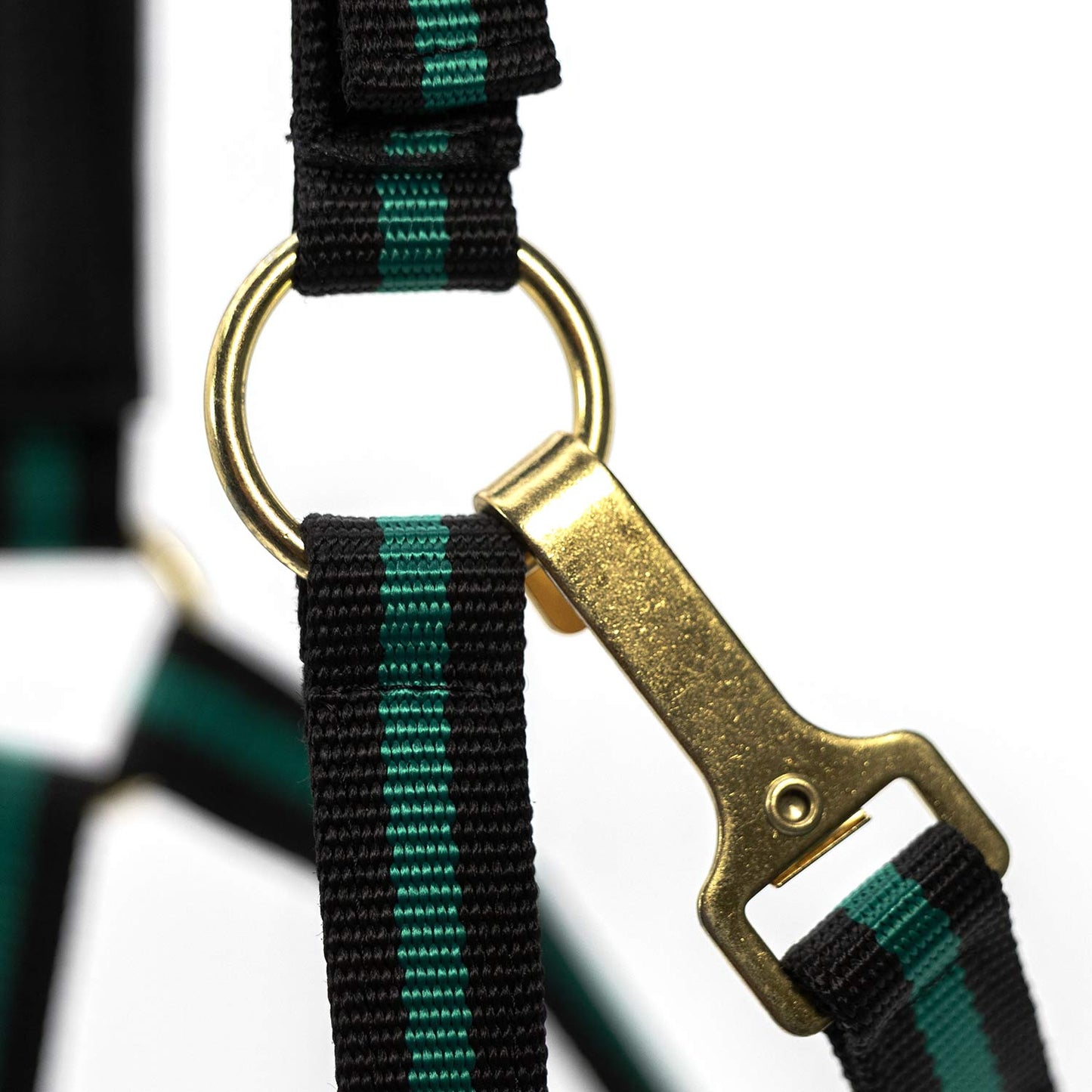 Jeffers Padded Nylon Horse Halter with Throat Snap