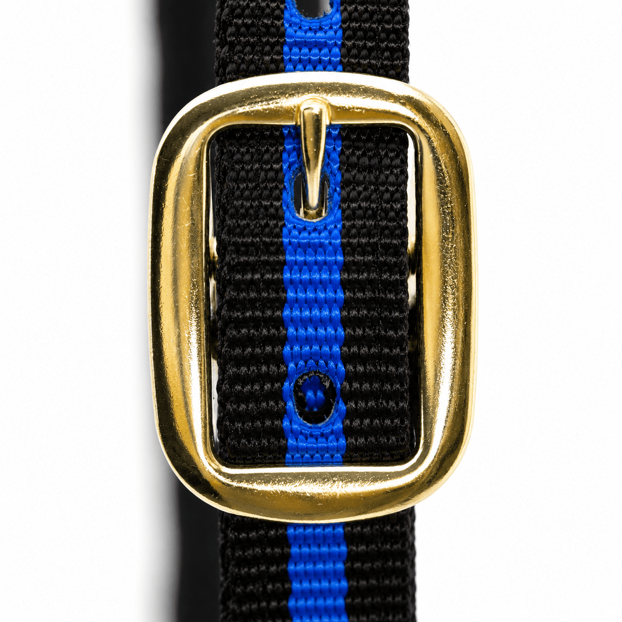 Jeffers Padded Nylon Horse Halter with Throat Snap