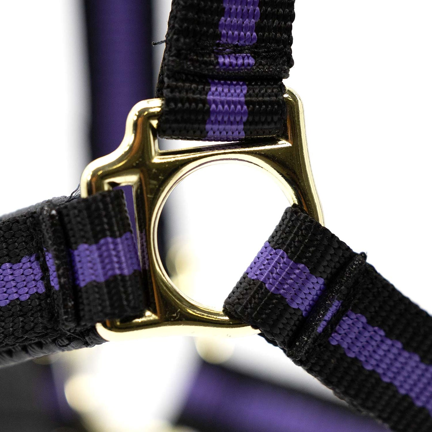 Jeffers Padded Nylon Horse Halter with Throat Snap