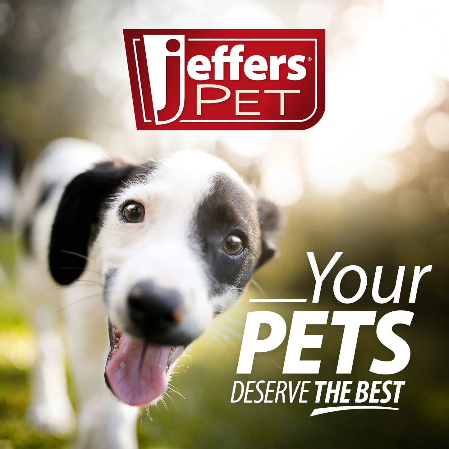 Jeffers Reflective Hound Series Nylon Dog Leash, 4 ft Long
