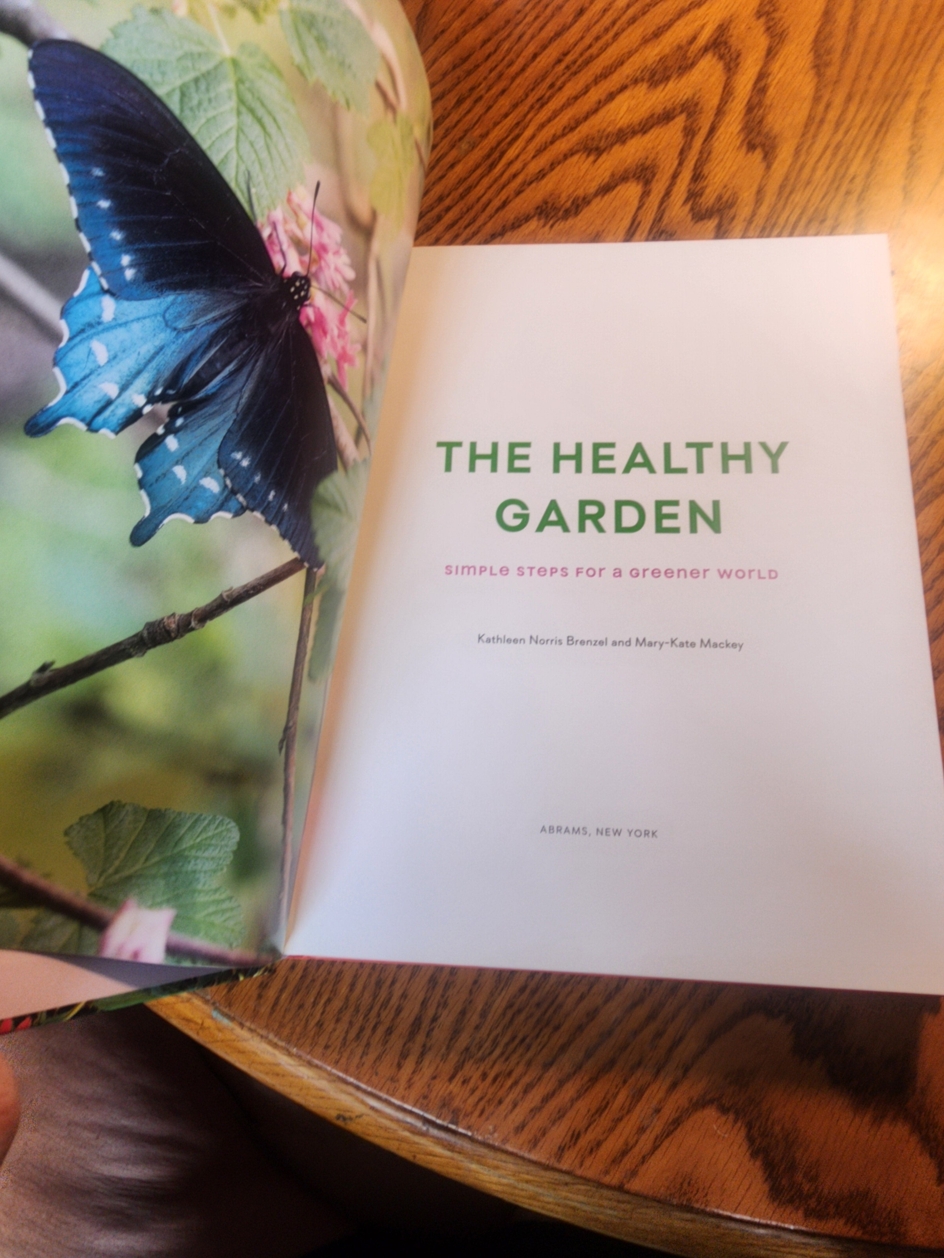 The Healthy Garden simple Steps for a greener World HB Book