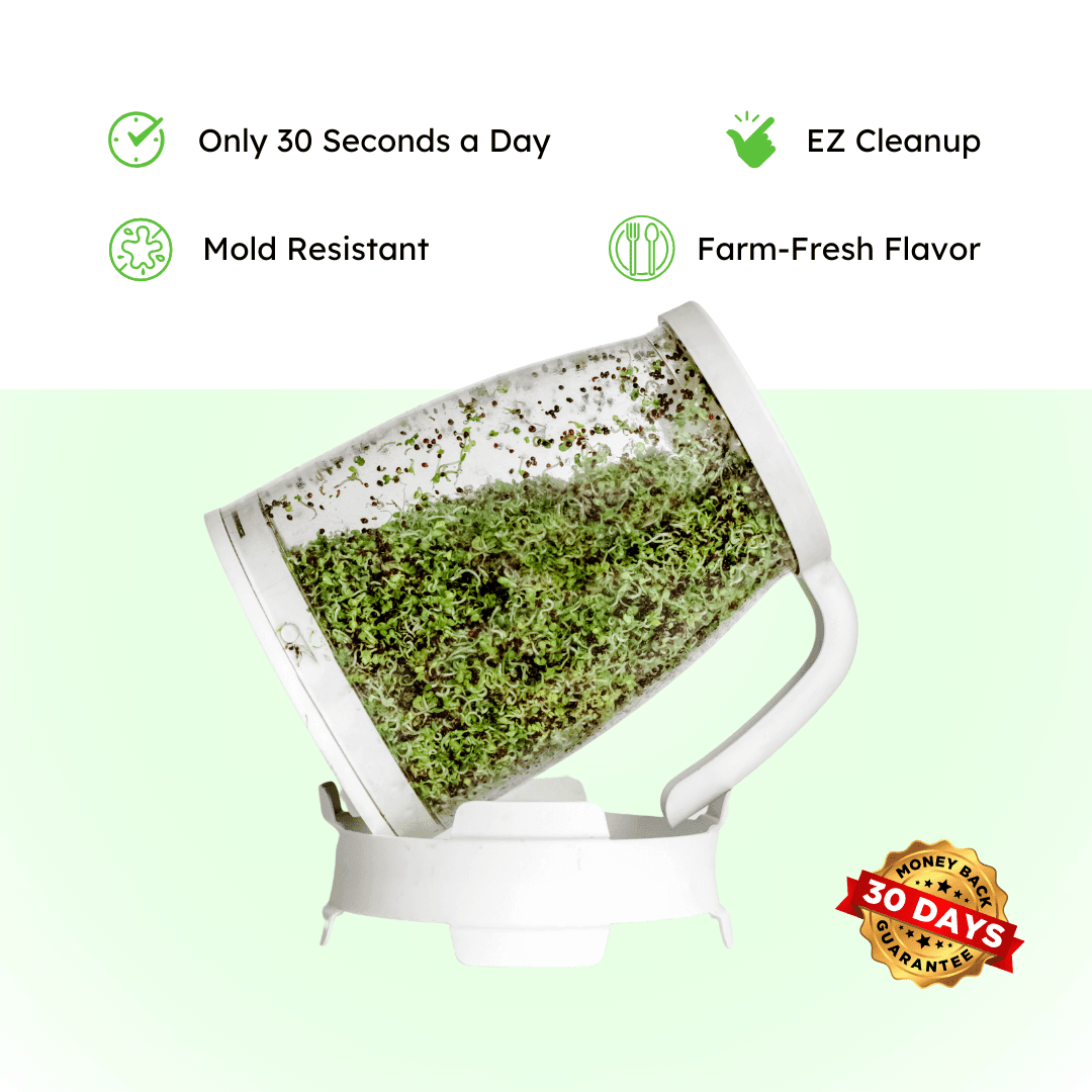 Sprout Spout Violet Vitality Blend Starter Kit: Sprout Spout + 4oz or 1lb seeds + Free Sprout Scoop